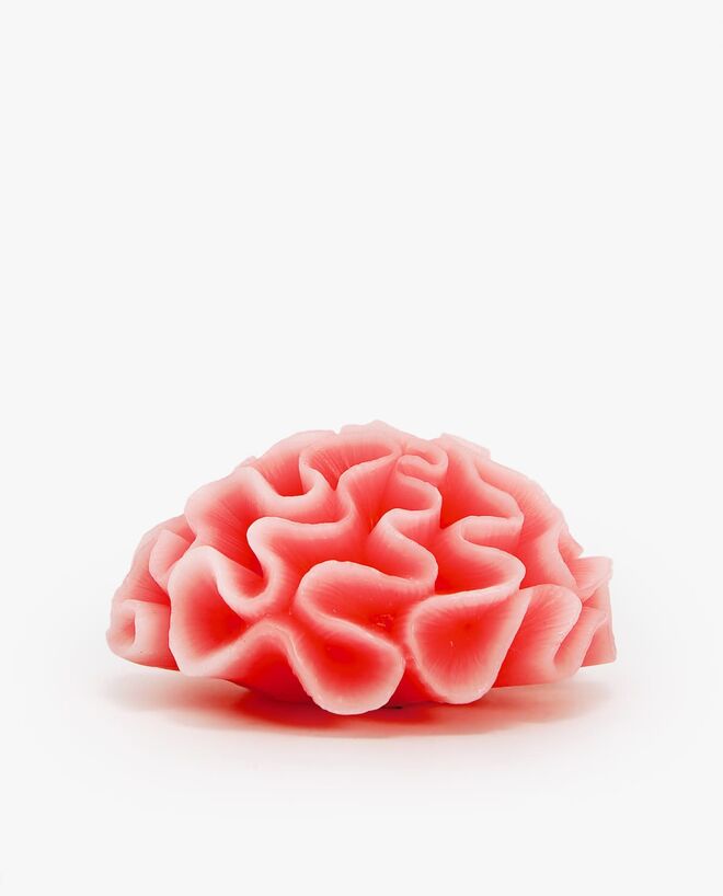 Vela, €12,99, Zara Home