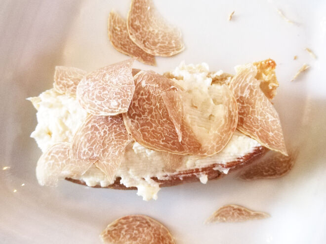 Bruschetta com creme de Ricotta e lascas de trufa 