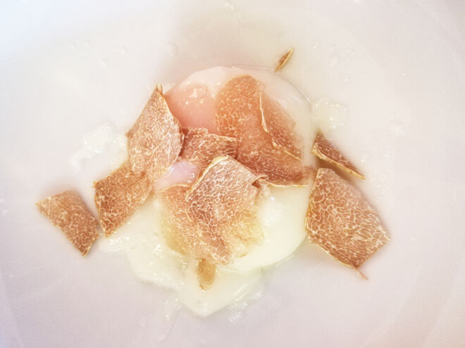 Ovo biológico cozido a baixa temperatura (64º) sob lascas de trufa branca