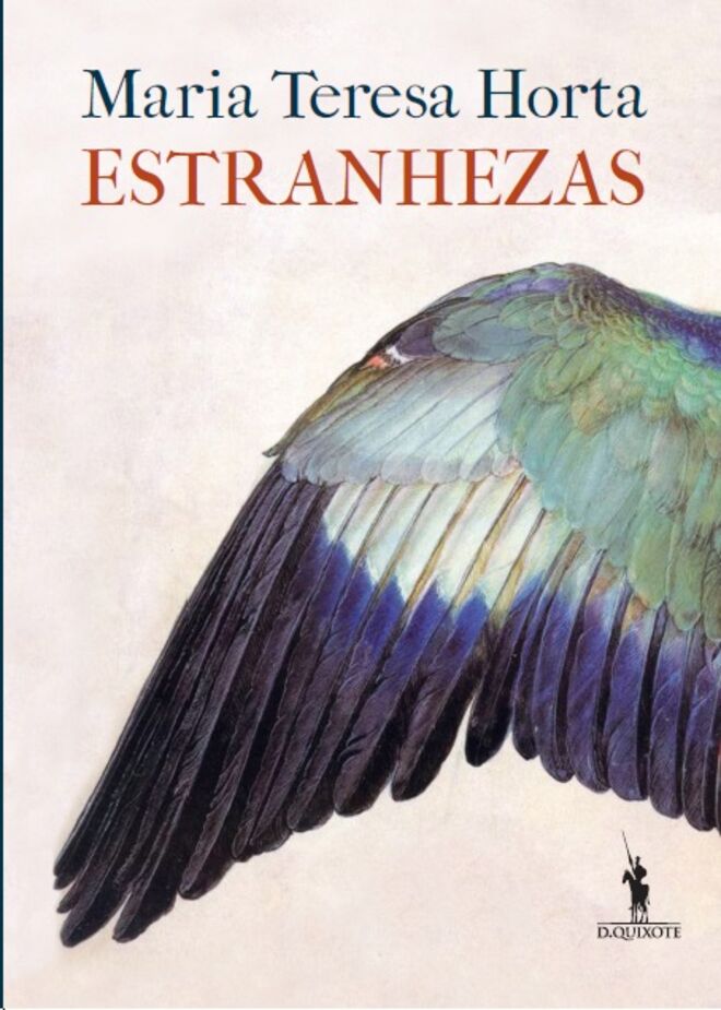 Estranhezas, de Maria Teresa Horta (D. Quixote)