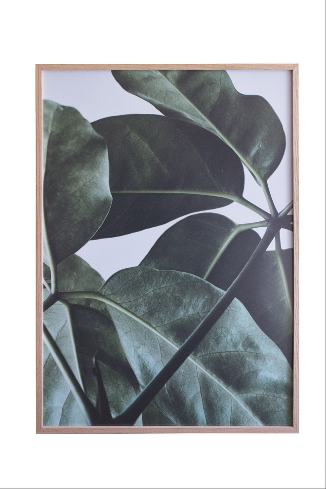 Quadro Leaf, €140, SAL Concept Store 