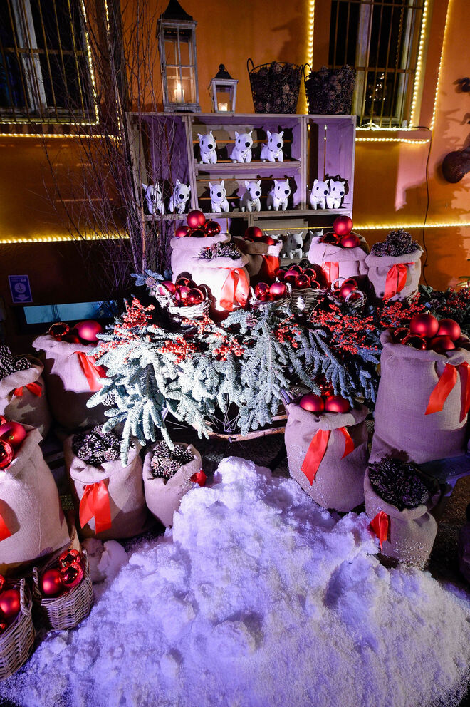 20º aniversário Elisabetta Franchi