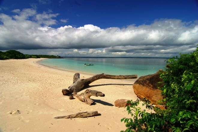 Panamá | Ilha Iguana