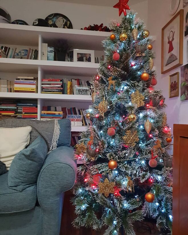 Rita Ferro Rodrigues