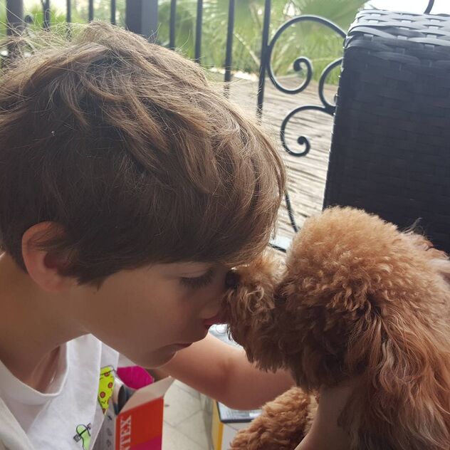 Jacob Tremblay