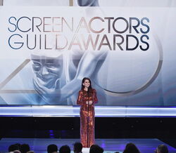 'Black Panther' e 'The Marvelous Mrs. Maisel' são os grandes vencedores dos SAG Awards 2019