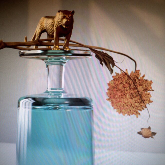 No que à música diz respeito, fevereiro começa com o ansiado regresso dos Beirut. A banda de folk rock e indie fundada em 2006 por Zach Condon, em Santa Fé (Novo México), acaba de anunciar a publicação do álbum Gallipoli, no dia 1.