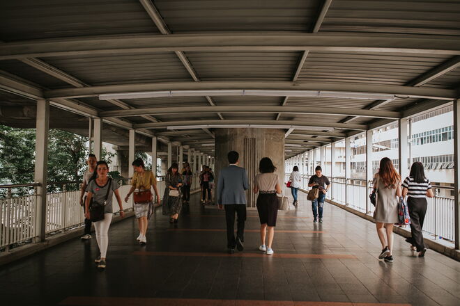 Tailândia e a revolução em curso para salvar os elefantes