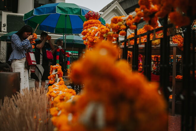 Tailândia e a revolução em curso para salvar os elefantes