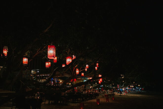 Tailândia e a revolução em curso para salvar os elefantes