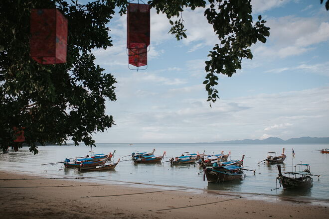 Tailândia e a revolução em curso para salvar os elefantes