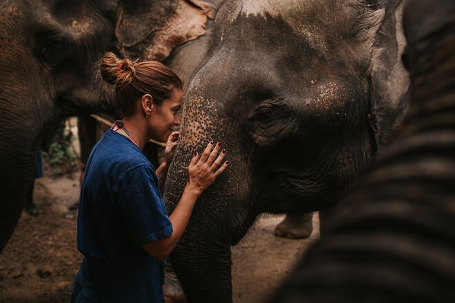 Santuário de Elefantes de Krabi