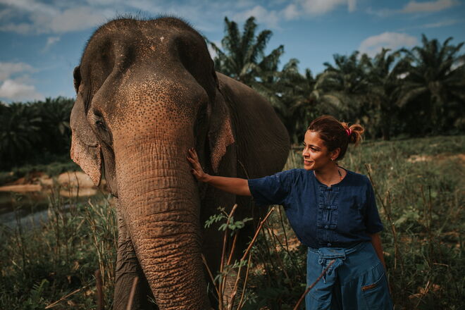 Santuário de Elefantes de Krabi