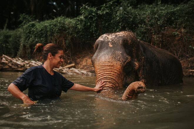 Santuário de Elefantes de Krabi e os banhos de lama
