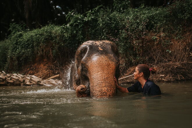 Santuário de Elefantes de Krabi e os banhos de lama