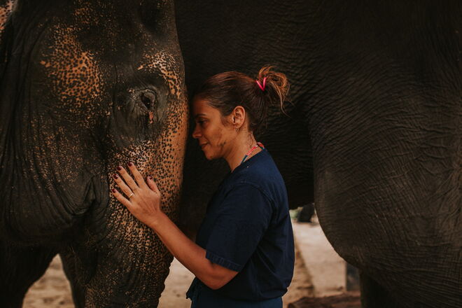 Santuário de Elefantes de Krabi