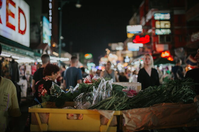 Tailândia e a revolução em curso para salvar os elefantes