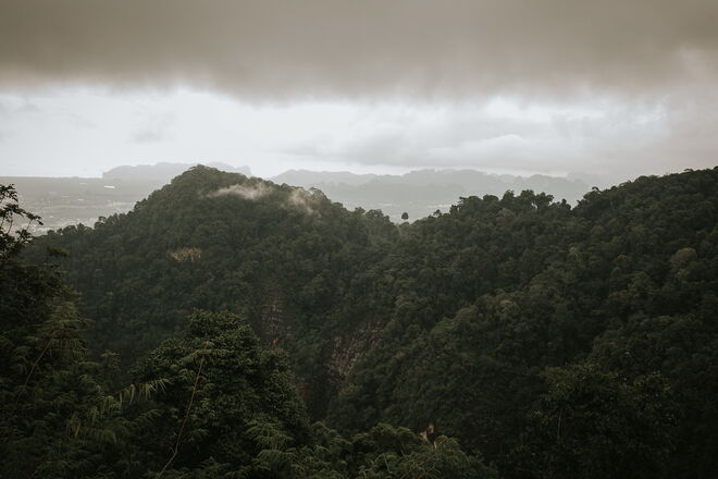 Tailândia e a revolução em curso para salvar os elefantes