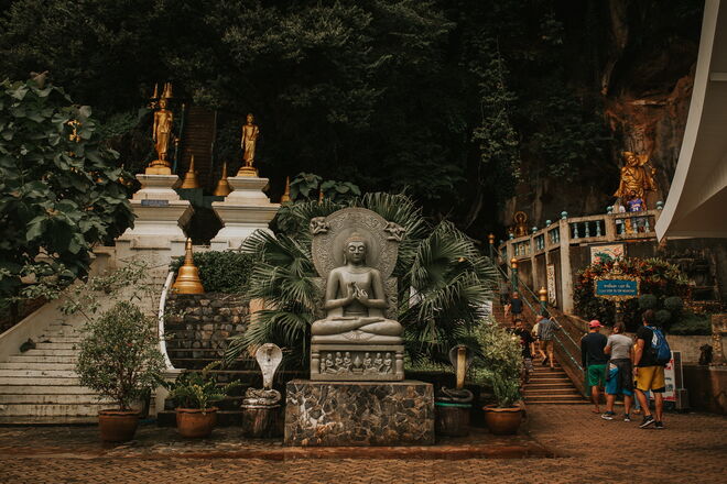 Tailândia e a revolução em curso para salvar os elefantes