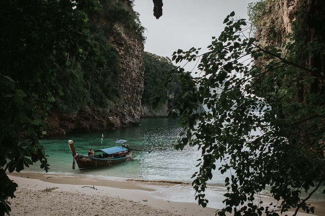 Tailândia e a revolução em curso para salvar os elefantes