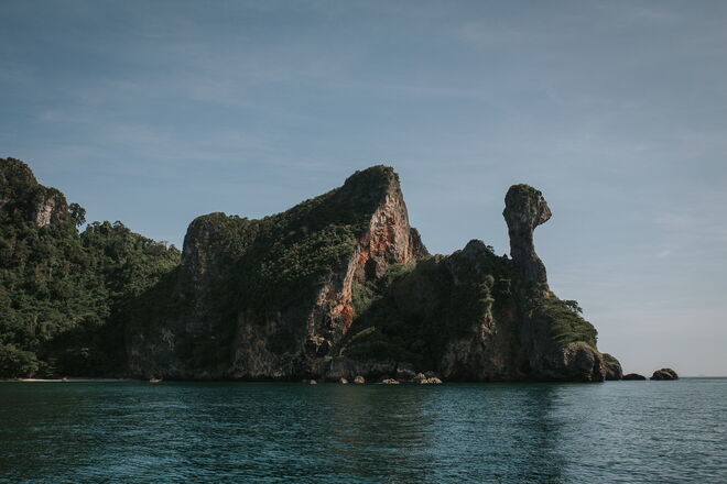 Tailândia e a revolução em curso para salvar os elefantes