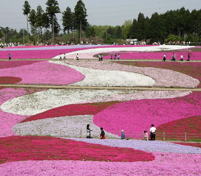 Hitsujiyama Park, Japão