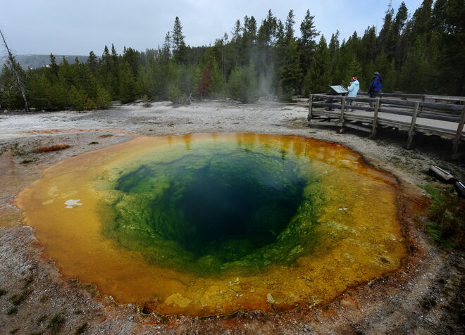 Morning Glory Pool é uma fonte termal no Parque Nacional de Yellowstone, nos Estados Unidos