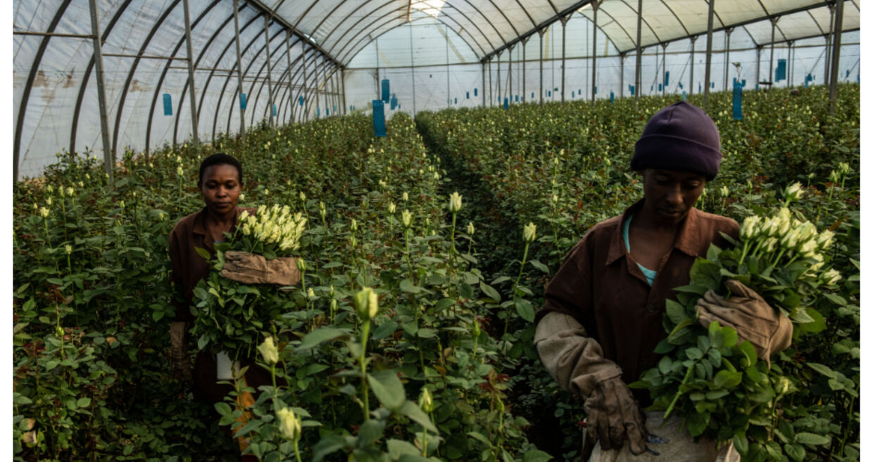 ONU-Mulheres-agricultura-alterações-climaticas-clima