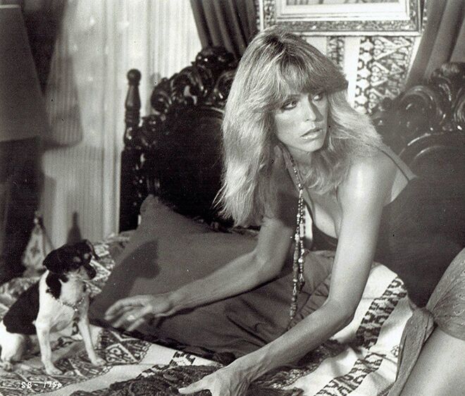 Como Ellie em Guerra Aberta (1979)