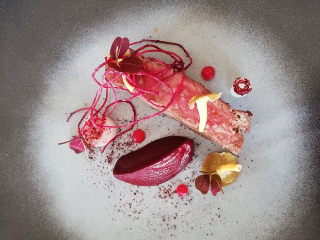 Novilho irlandês maturado, com puré de beterraba, gel de groselhas e molho de pimenta Voatsiperifery