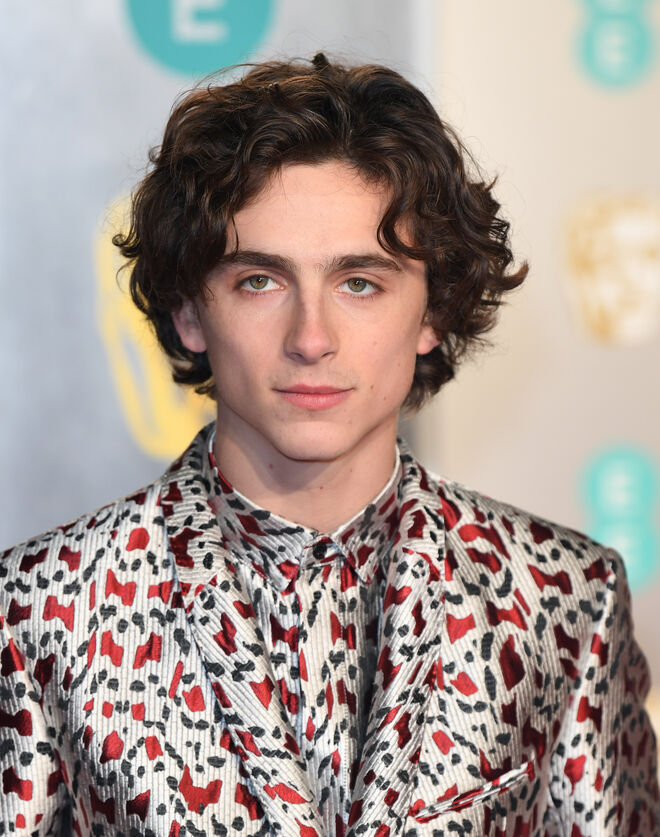 Timothée Chalamet em Haider Ackermann