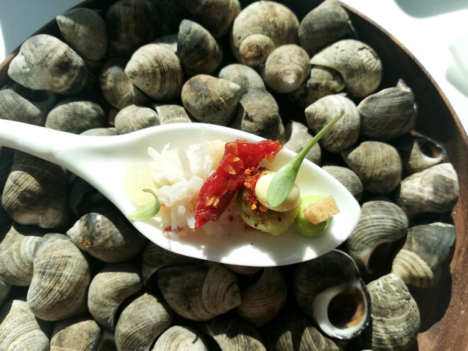 Santola de sapateira com creme de abacate e tomate confitado