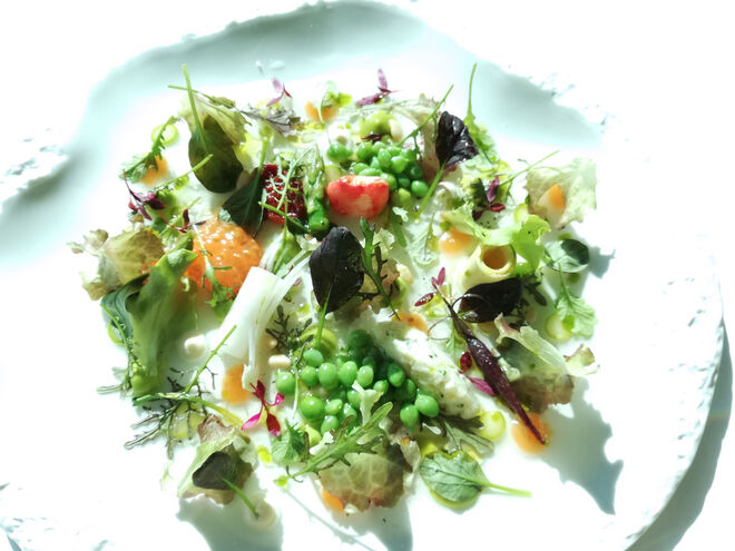 Salada de verduras, ervas e pétalas, brotes com puré de alface, coração de tomate, ervilha e caranguejo real com gelatina de água de tomate