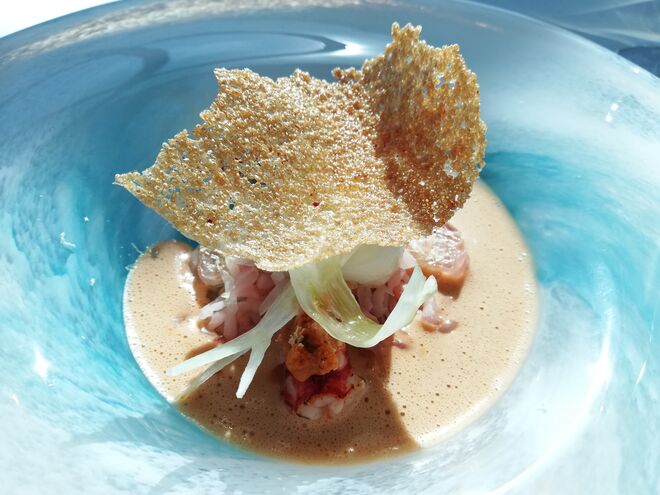 Sopa thai de carabineiro, espuma de maçã ácido picante e crocante de amaranto, pomelo, ouriços-do-mar e aipo