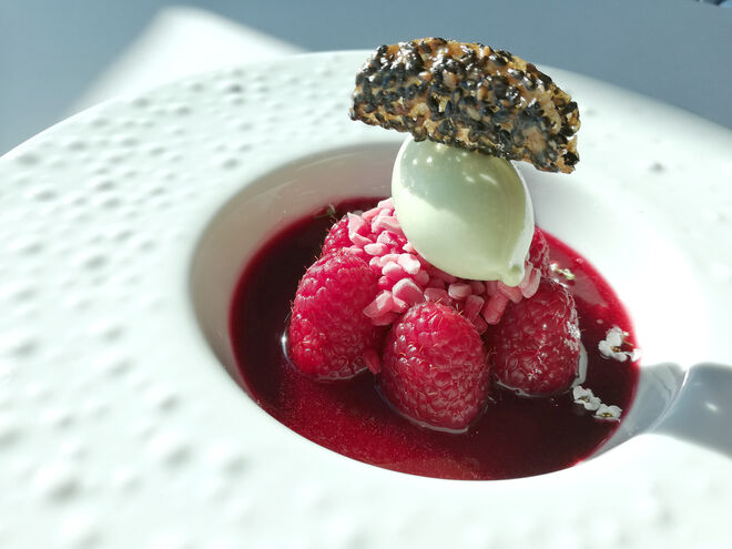 Framboesas à flor de hibiscos, gelado de manjericão e telha de sésamo negro