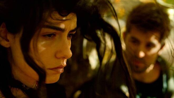 O filme A Pereira Brava, do realizador turco Nuri Bilge Ceylan, narra a história triste de Sinan (Dogu Demirkol), um escritor em ascensão que regressa a casa deparando-se com o vício do pai com o jogo, o desespero da mãe e da irmã e todas as consequências que isso acarreta. 