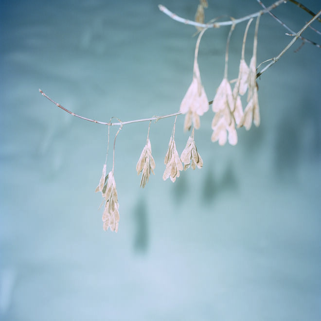 MyTheresa, Fotógrafa Anne Schwalbe