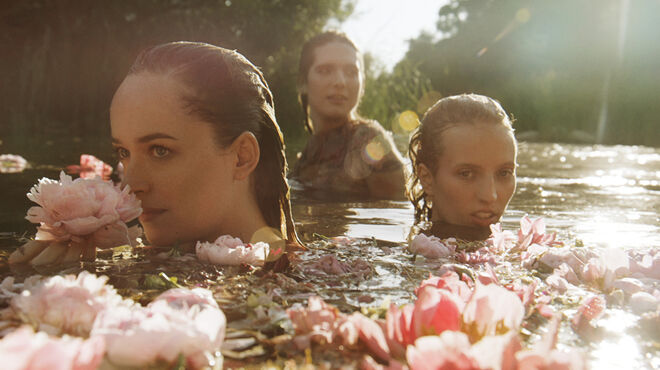 Fotos da nova campanha do perfume Gucci Bloom, com Petra Collins, Dakota Johnson e Hari Nef