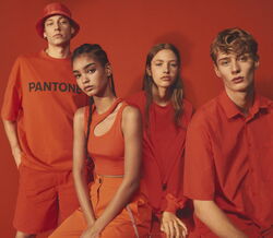 Uma explosão de cor na coleção da Bershka com a Pantone