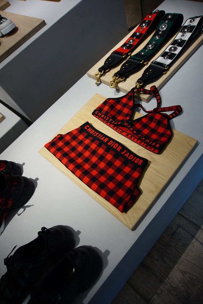 "Mega apaixonada por tudo!"