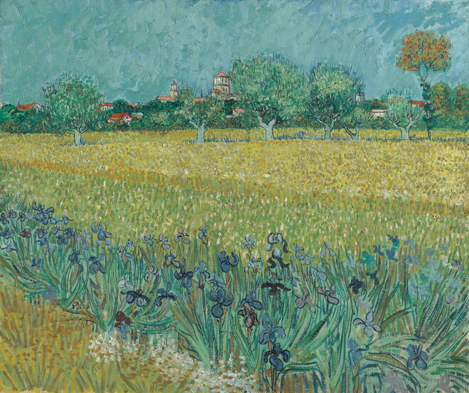 Field with Irises near Arles, Van Gogh, 1888.