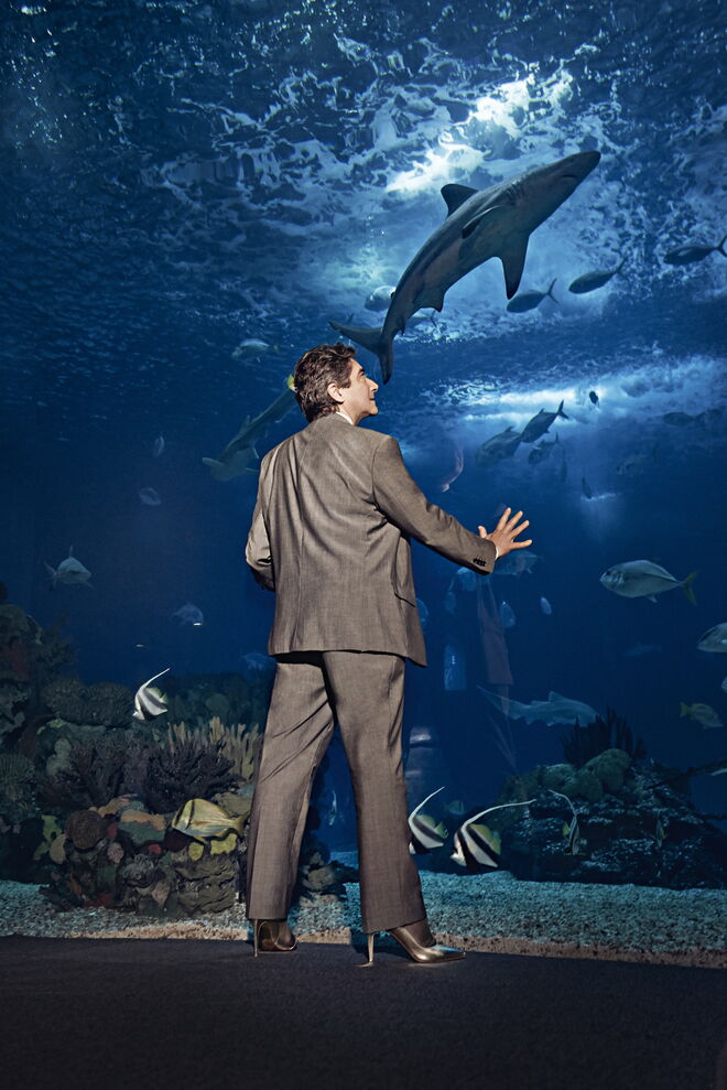 Ricardo Serrão Santos, eurodeputado | "Não vejo razão alguma para recusar calçar estes sapatos. O político também deve estar na margem de comunicação, na provocação da mensagem"