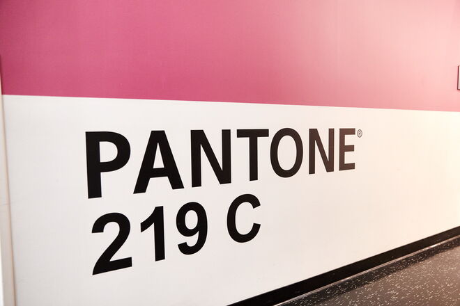 O tom PMS 219 é conhecido como Barbie Pink