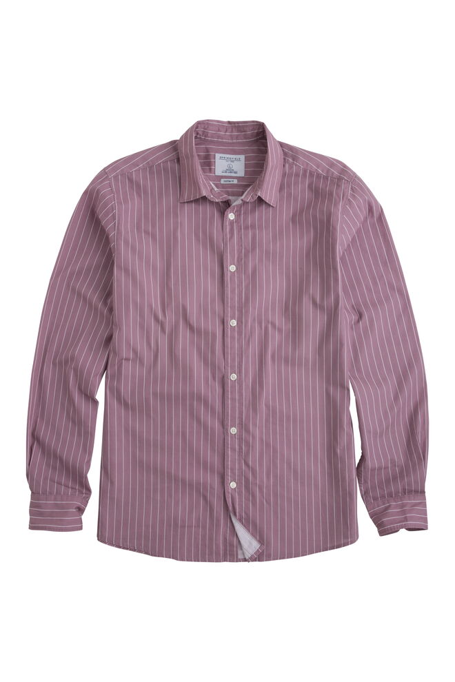 Coleção da Springfield para o Dia do Pai