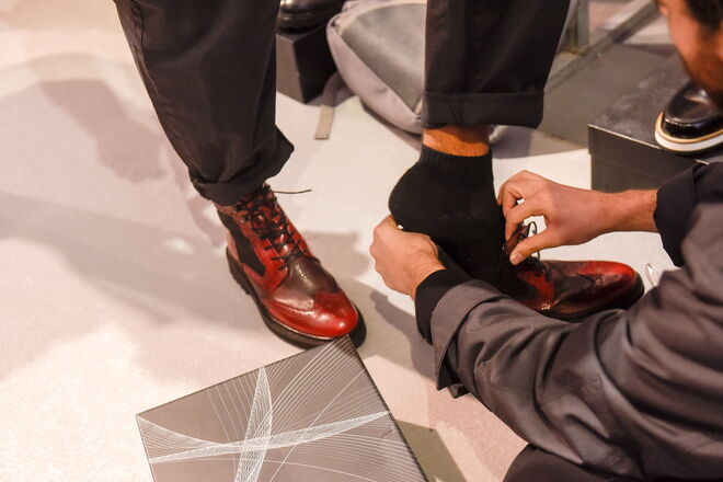 Coleção de Luís Onofre