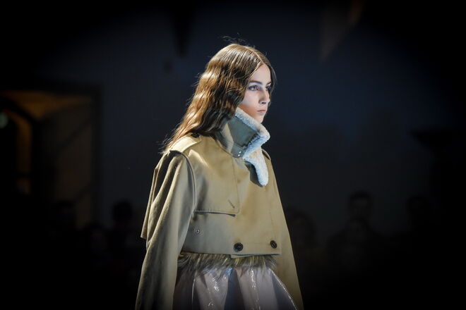 Coleção de Alves Gonçalves