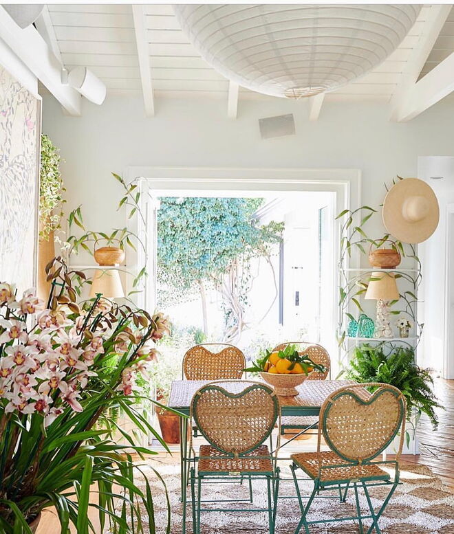 Trazer a natureza para dentro de casa através de plantas