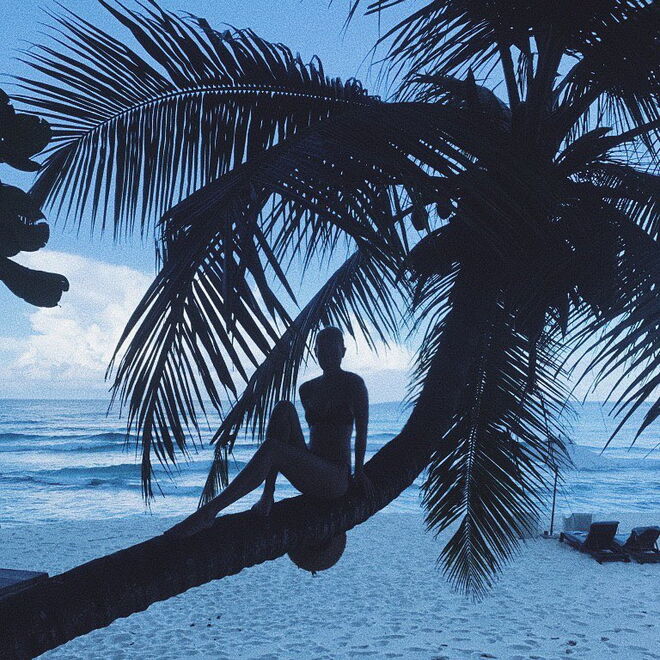 A modelo Karlie Kloss senta-se à sombra de uma palmeira na África do Sul