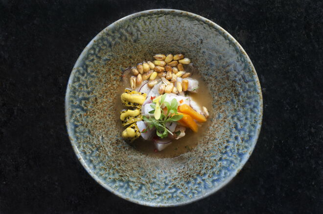 Ceviche limeno, com peixe branco, mix de mariscos, leite de tigre e batata-doce 