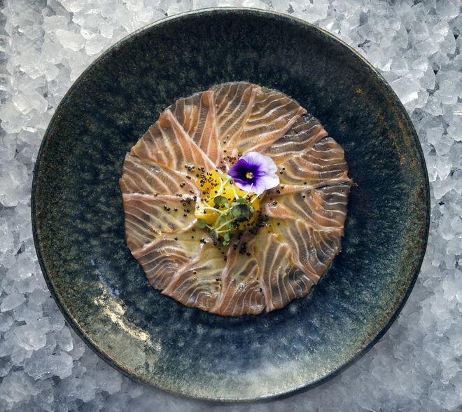 Usuzukuri de salmão, com lima, amor-perfeito, molho ponzu trufado e rúcula 